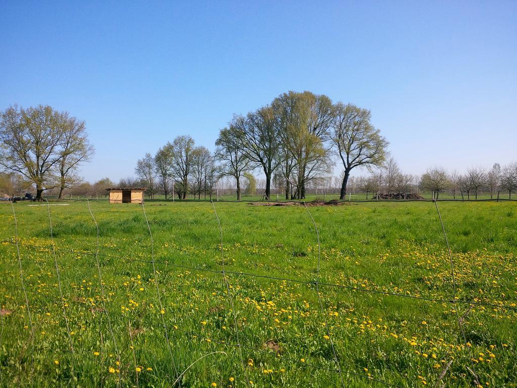Ferienhof Idyll Am Kleinen Fliess Бург Экстерьер фото