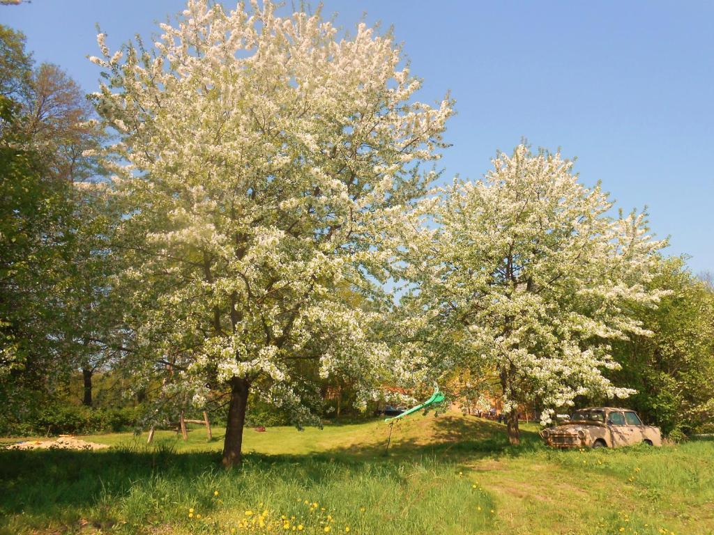 Ferienhof Idyll Am Kleinen Fliess Бург Экстерьер фото